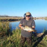 Андрей, Россия, Саратов, 53 года