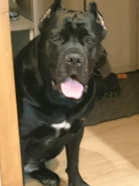 Влад, Россия, Нижний Новгород. Фото на сайте ГдеПапа.Ру