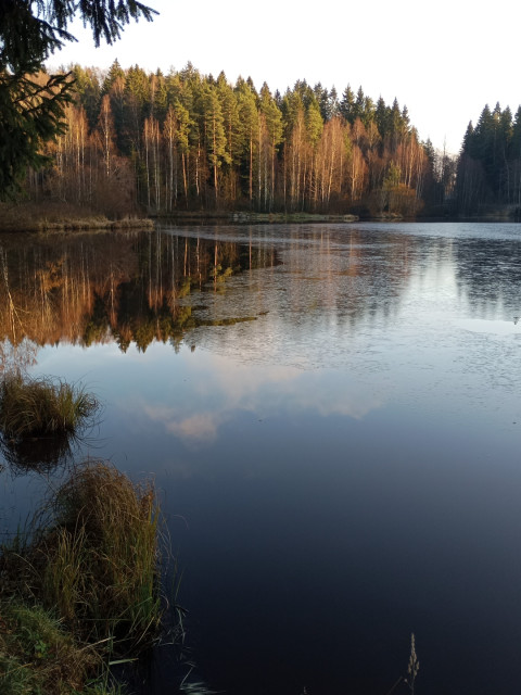 Андреич, Россия, Санкт-Петербург. Фото на сайте ГдеПапа.Ру