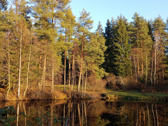 Андреич, Россия, Санкт-Петербург. Фото на сайте ГдеПапа.Ру