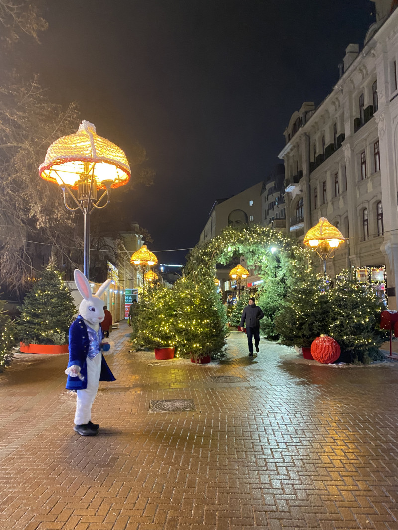 Догуливаю Новый год ))