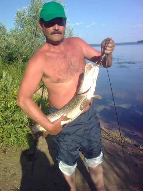 Александр, Россия, Нижний Новгород. Фото на сайте ГдеПапа.Ру