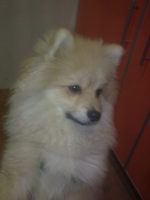 Александр, Россия, Нижний Новгород. Фото на сайте ГдеПапа.Ру