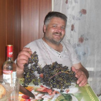 Сергей Крайнов, Россия, Южно-Сахалинск, 49 лет
