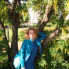 Лиса, Россия, Санкт-Петербург, 46
