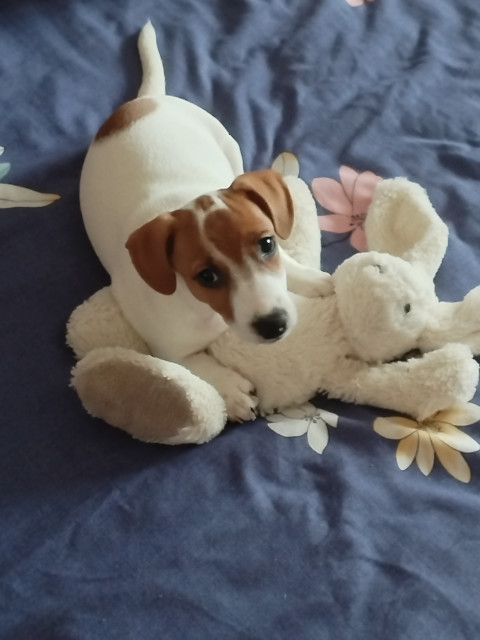 Ольга, Москва, м. Новопеределкино. Фото на сайте ГдеПапа.Ру