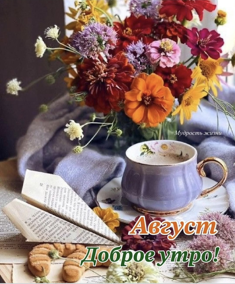 Мой любимый август