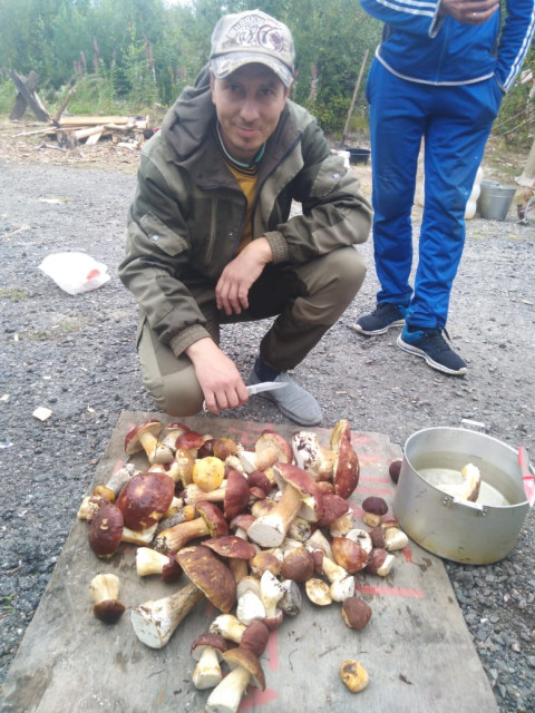 Называется сходили на рыбалку))в Карелии,рыбы нет за то грибов наловили