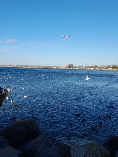 Сергей, Москва, м. Румянцево. Фото на сайте ГдеПапа.Ру