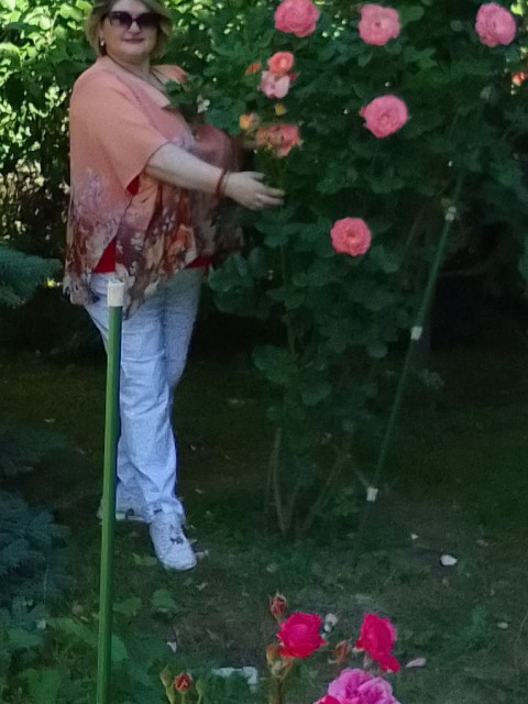 Нелли, Россия, Москва. Фото на сайте ГдеПапа.Ру