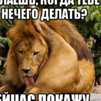 Олег Нов, Россия, Волгоград, 40 лет