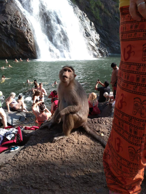 Светлана, Россия, Волхов. Фото на сайте ГдеПапа.Ру