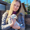 Анастасия, 39, Россия, Москва