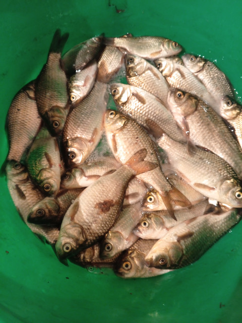 Любимое занятие летом в деревне