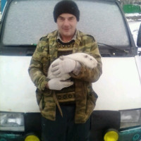 Николай Проявин, Россия, Можга, 53 года