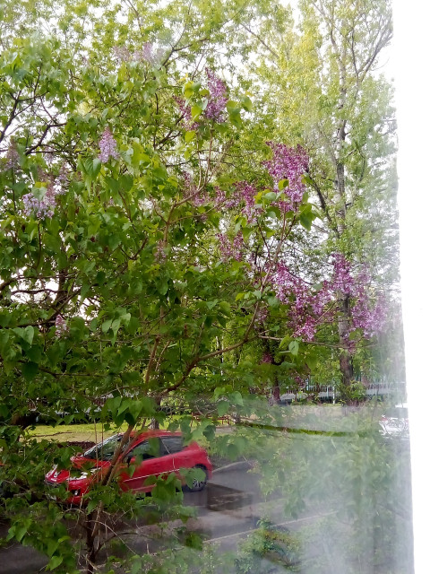 Сергей Колесник, Москва, м. Пионерская. Фото на сайте ГдеПапа.Ру