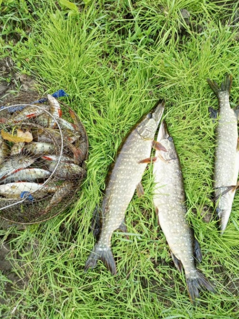 Сергей, Россия, Гатчина. Фото на сайте ГдеПапа.Ру