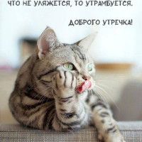 Лариса, Россия, Самара, 55 лет