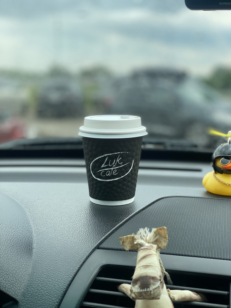 Дорога домой