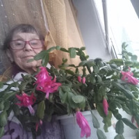 Пономарева, Россия, Энгельс, 71 год