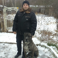Сергей, Россия, Киреевск, 37 лет