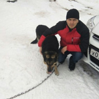 Алексей, Россия, Ивантеевка, 39 лет