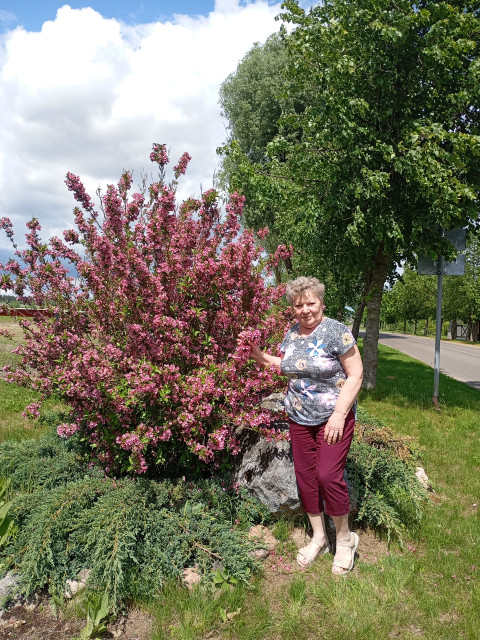 Нина, Санкт-Петербург, Проспект Просвещения. Фото на сайте ГдеПапа.Ру