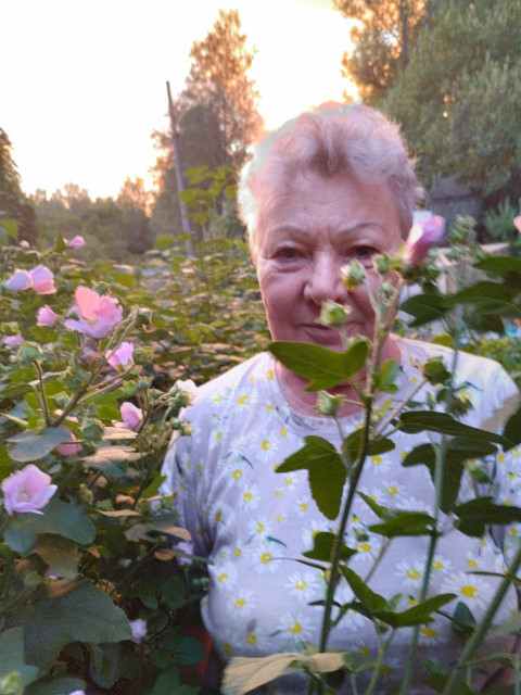 Нина, Санкт-Петербург, Проспект Просвещения. Фото на сайте ГдеПапа.Ру