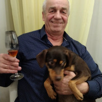 Виктор, Россия, Нижневартовск, 68 лет