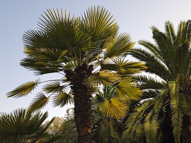 Роман, Россия, Москва. Фото на сайте ГдеПапа.Ру