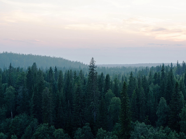 Андрей, Россия, Казань. Фото на сайте ГдеПапа.Ру