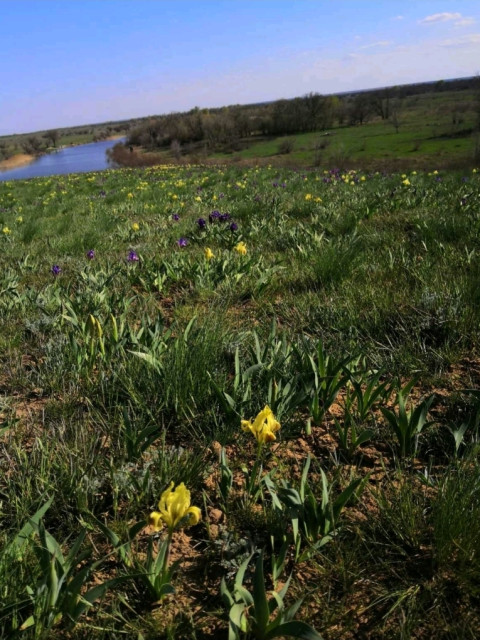 Саша, Россия, Волгоград. Фото на сайте ГдеПапа.Ру