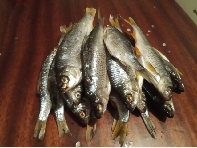 Саша, Россия, Волгоград. Фото на сайте ГдеПапа.Ру