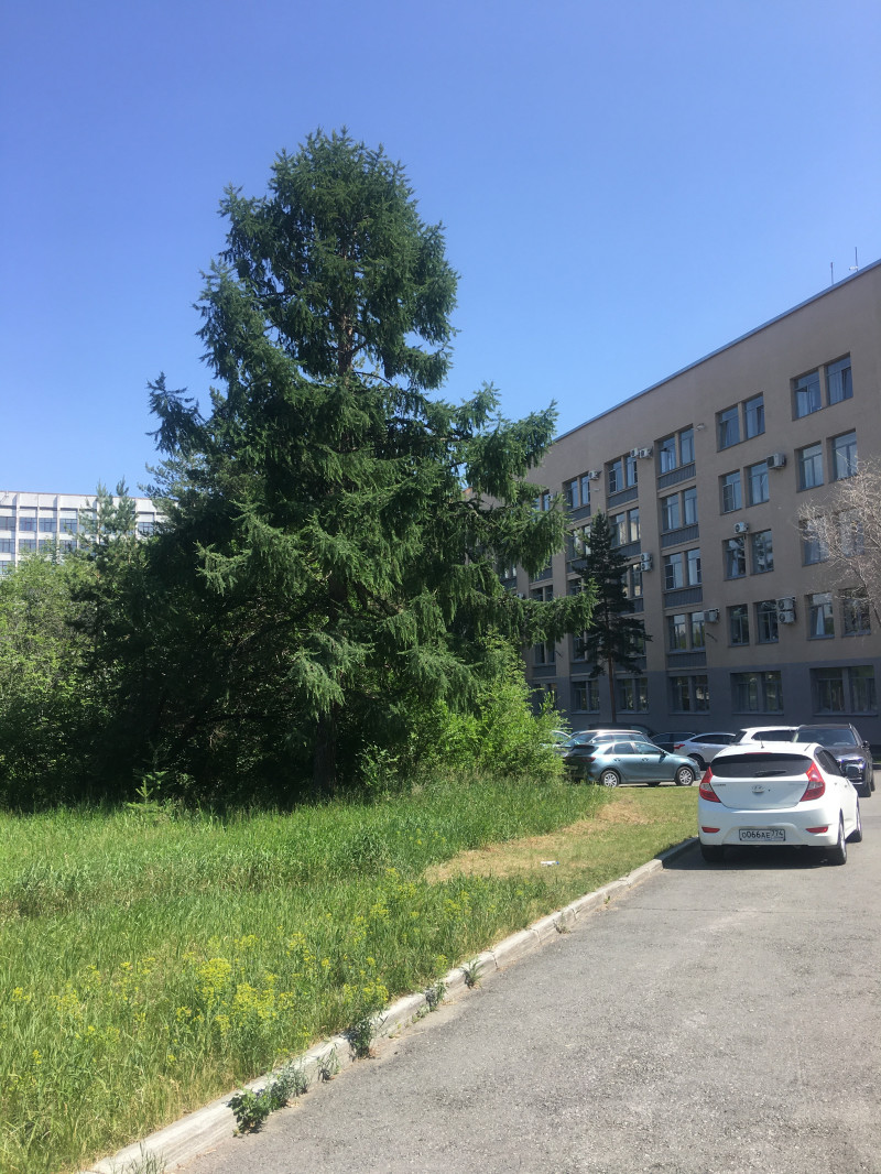 Прогулочное ф четверг