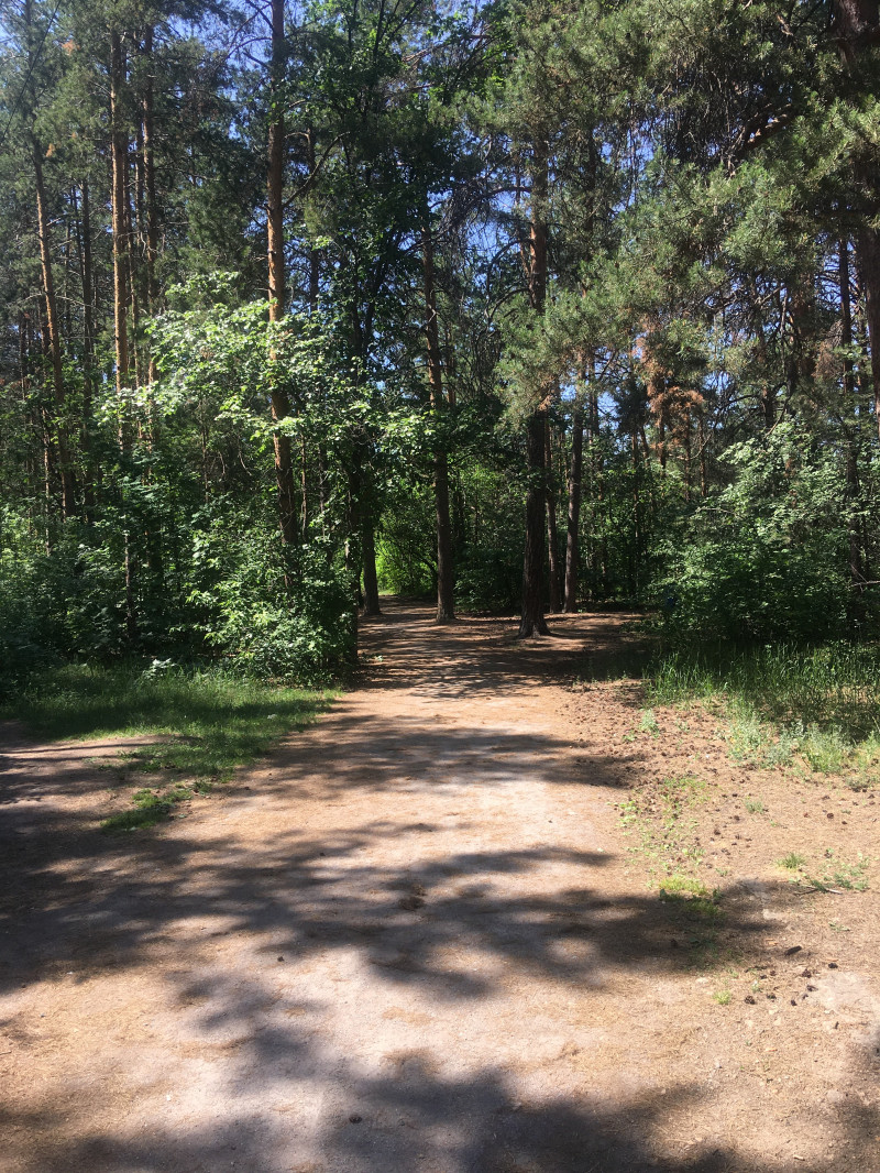 Прогулочное ф четверг