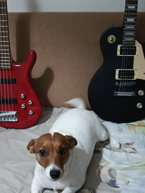 Эмиль, Россия, Санкт-Петербург. Фото на сайте ГдеПапа.Ру