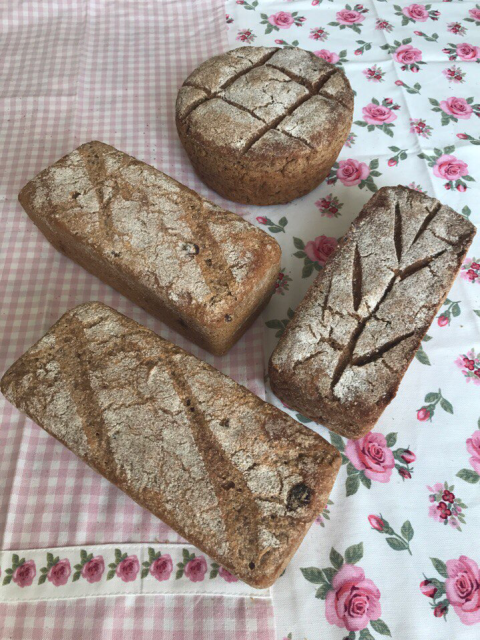 Сергей, Россия, Торжок. Фото на сайте ГдеПапа.Ру