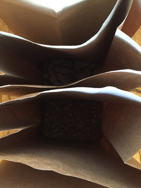 Сергей, Россия, Торжок. Фото на сайте ГдеПапа.Ру