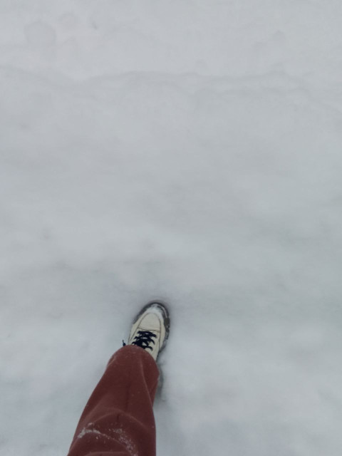 Lyudmila, Россия, Москва. Фото на сайте ГдеПапа.Ру