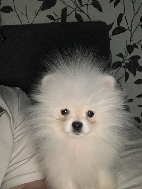 Максим, Россия, Москва. Фото на сайте ГдеПапа.Ру