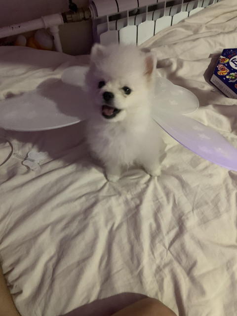 Максим, Россия, Москва. Фото на сайте ГдеПапа.Ру