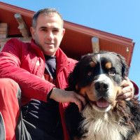 Боря, Россия, Санкт-Петербург, 49 лет