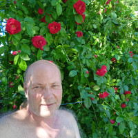 Лев, Россия, Тула, 62 года