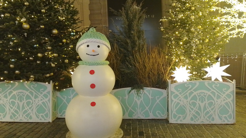 Прогулка фестиваль "Город света", часть 2, Москва, 2025-01-18