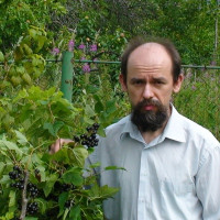 Вячеслав Симонов, Москва, м. Красногвардейская, 41 год