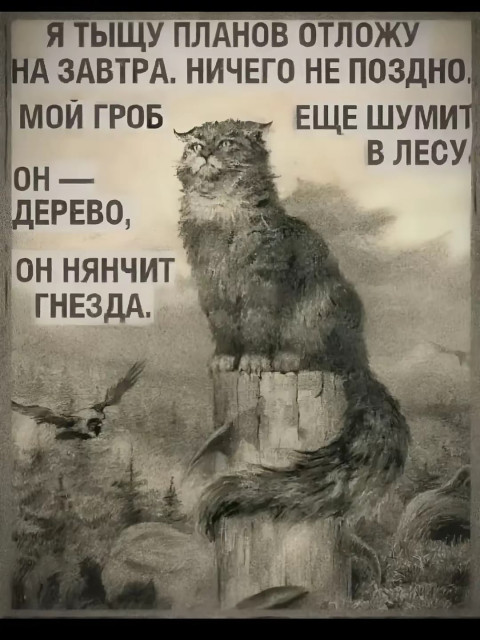 Агафон, Россия, Дмитров. Фото на сайте ГдеПапа.Ру
