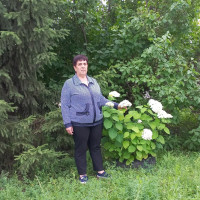 Людмила, Россия, Тамбов, 63 года