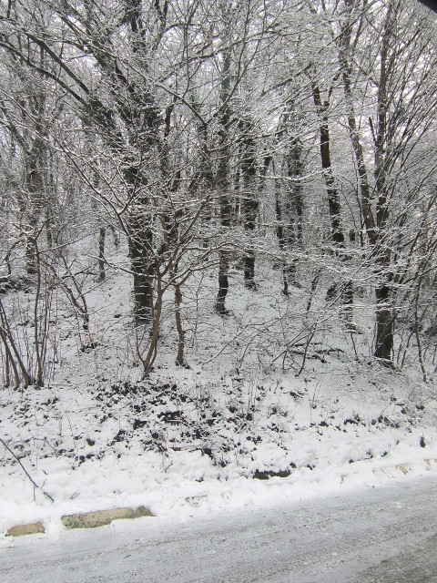 Ольга, Россия, Краснодар, 48 лет. Мужчину и женщину сближают четыре фактора. Главное – общее мировоззрение, общее дело. На втором мест