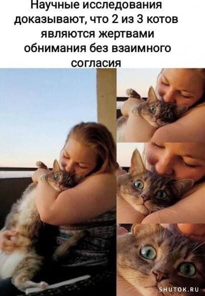 Защита интересов котов. Больше половины котов подвергаются физическому насилию в виде тискания без согласия.