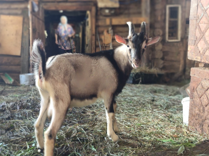 Расскажите, как вы будете проводить лето с детьми в городе. Акция "На лето к Ивану - 2".